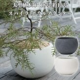 植木鉢 おしゃれ 高級 18号 13号 大型 丸型 丸 KONTON ファイバークレイ スパイラ ボウルプランター 底穴あり 軽量 観葉植物 白 灰 ボウル 特大 セメント グラスファイバー 多肉植物 アガベ シンボルツリー 寄せ植え 北欧 和モダン ナチュラル 屋外 玄関 テラス ベランダ
