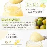 国産果汁使用 凍らせて食べる 6種のフルーツ ソルベセット もも りんご みかん じゃばら ゆず スチューベン ぶどう ゼリー シャーベット デザート ギフト プレゼント 内祝い お返し 贈り物 人気 おしゃれ 定番ギフト