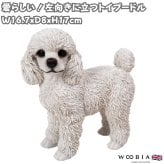 置物 woobia ウービア 犬 プードル 左向きに立つトイプードル シロ 高さ17cm 小 白い犬 リアル 本物そっくり イギリス生まれ 職人手彩色 縁起物 戌年 玄関 インテリア 新築祝い 引っ越し祝い 開店祝い 出産祝い 誕生日 お祝い ギフト プレゼント 犬好き トイプードル好き