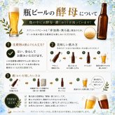 世界一 金賞受賞入り クラフトビール2種 セッションIPA2缶 飲み比べ 4本セット 世界一に輝いたビール入り3種 詰め合わせ 