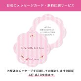 誕生日プレゼント 女性 ソープフラワー ローズ レッド×ピンク ｜ 母 祖母 友人への花ギフト 還暦 メッセージカード無料印刷対応 お祝いギフト