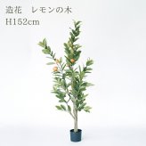 観葉植物 造花 レモンの木 BROWN 全高約152cm 大型 フェイクグリーン 本物そっくり おしゃれ インテリア 人工観葉植物 アーティフィシャルグリーン オフィス 店舗 ホテル 開店祝い 室内 レモン 檸檬 フェイク