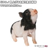 置物 豚 見上げるお座り黒白桃豚 幅19cm woobia ウービア ぶた リアル かわいい おしゃれ 玄関 インテリア オブジェ ガーデン ミニブタ 動物 アニマル 癒し 棚 北欧 プレゼント ギフト 新築祝い 面白い