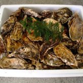 殻付き生牡蠣 岡山県 邑久町産 曙牡蠣 | 半缶60個(5kg)前後 ■ 牡蠣むきナイフ、軍手付き お歳暮 送料無料 殻付き牡蠣 殻付き カキ かき 牡蛎 牡蠣一斗缶  海鮮 バーベキュー BBQ