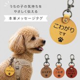 犬 メッセージタグ イエローリボン 散歩 お散歩タグ オリジナル 犬用タグ 迷子札 大きめ 本革 栃木レザー 軽量 散歩タグ 革 レザー 愛犬の気持ちを伝える こわがり 臆病 人が苦手 よく吠える 音が苦手 名入れ
