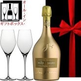 スパークリングワイン ペアグラス ギフトセット【無料 リボンラッピング メッセージカード】イタリア スパークリングワイン 「プロセッコ」辛口 750ml  ドイツ シュピゲラウ ワイングラス 割れにくい 結婚祝い 結婚記念日 周年祝い 開店 誕生日 新築祝い 引越し祝い お返し 送料無料