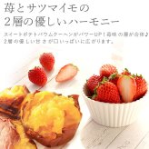 ＼早割！8/31の16時まで／ 敬老の日 ギフト プレゼント 早割 人気 花 生花 蘭 胡蝶蘭 鉢植え ミディ 2.5号 洋蘭園 フラワーギフト バウムクーヘン スイーツ お菓子 洋菓子 花とお菓子 60代 70代 80代 90代 おじいちゃん おばあちゃん 孫 孫から おいもや