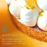 誕生日プレート付き 送料無料 爽やかレモンタルト12㎝ 2名〜3名様用 パーティー 大人 子供 記念日 お祝い 内祝 出産祝 お礼 お返し 人気 お取り寄せ お菓子 ケーキ 送料無料 翌日お届け お取り寄せスイーツ TVで紹介 熨斗対応 パーソナルラッピング対応 詰め合わせ 高級 おしゃれ 可愛い 冷凍発送