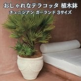 植木鉢 おしゃれ 大型 テラコッタ 白 ホワイト 素焼き 地中海 アンティーク調 KONTON コントン チュニジアン ガーランド TN-104X XL L M 約16号 約14号 12号 底穴あり 屋外 テラス 庭 玄関 オリーブ ヤシ 観葉植物 シンボルツリー 果樹 エスニック 大型プランター