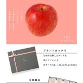 THE FRUITS シナノスイート 長野県産 林檎 12玉 等級 高等級 中玉（32玉級) 以上 りんご 高級 内祝い お返し 出産内祝い 内祝 入学内祝い 快気祝い 結婚祝い 結婚内祝い 新甘泉 お供え 御供 ギフト お祝いグルメ フルーツ 果物 希少 食べ物