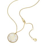 フォッシル FOSSIL Sutton アクセサリー ネックレス ペンダント しし座 レディース JF04842710