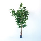 観葉植物 造花 クジャクヤシ BROWN 全高約210cm 大型 フェイクグリーン 高級 本物そっくり リアル おしゃれ インテリア 人工観葉植物 アーティフィシャルグリーン オフィス 店舗 ホテル 開店祝い 室内 リビング 玄関 風水 ヤシの木 フィッシュテールパーム