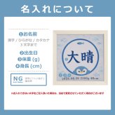命名書 刺繍 刺しゅう おしゃれ 男の子 女の子 ペンギン 水族館 さかな ブルー 水色 赤ちゃん フレーム 額縁 オーダー 名前 箱 かわいい 可愛い 送料無料 名前旗 命名式 ベビー 名入れ お七夜 お宮参り 100日記念 七五三 節句 誕生日 出産祝い