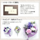 送料無料■仏花 お供え ほのか 完成品 造花 仏壇花 上品 高級 お悔やみ アートフラワー 仏壇 花  法要 四十九日 通夜 葬儀 贈り物 初盆 お悔み花 彼岸 光触媒 花 お墓用 仏壇用 ミニ シンプル  ペット 物  喪中見舞い 1回忌 花束 おしゃれ お洒落 人気  シャクヤク 新盆 犬 猫