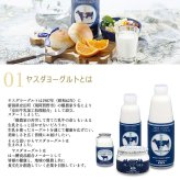 ヤスダヨーグルト ギフトセット 15点 セット 乳製品  飲むヨーグルト ドリンクヨーグルト ブルーベリー ストロベリー バナナ プレーン 新潟県産生乳 お歳暮 内祝い 贈り物 ギフト プレゼント お祝い お熨斗 化粧箱入り 季節の味わいを楽しむ贅沢なギフト 送料無料