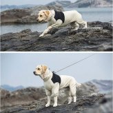 犬 レインコート フルカバー 通販 犬用カッパつなぎ ドッグウェア 背中ファスナー式 お腹泥よけカバー 雨具レインウエア お散歩グッズ 犬服 はっ水 撥水加工 着せやすい犬服 リード穴付 ハイネック仕様 フードなし設計 梅雨対策 ペット用品