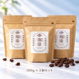 塩焙煎珈琲 コーヒー豆 100g 150g ドリップコーヒー 山口県 光市 室積 力塩 珈琲 塩コーヒー ラオス産 コーヒー お取り寄せ ギフト プレゼント 贈り物 自宅用