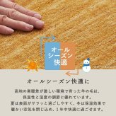 ラグ カーペット ギャベ ギャッベ ギャッペ マット 防炎 インド絨毯 ギャベマット 羊毛 ホワイト インドギャベ 絨毯 高級感 130x190cm