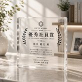 表彰記念品 ガラスブロック 優秀社員賞 社員表彰 記念品 表彰楯 エントランス 写真 法人 功労賞 贈り物 社員 開業祝い 法人ギフト サプライズ 表彰 ビジネス 会社 オーダーメイド 退職祝い 送別会 功労者表彰 ギフト 記念日 プレゼント 名入れ 記念盾 表彰状 応接室 名入れギフト 記念品贈呈 クリスタル盾 おしゃれ ロゴ入り 永年勤続 高級 取引先 表彰式 受賞記念 受付 誕生日【c11】