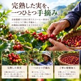 塩焙煎珈琲 コーヒー豆 100g 150g ドリップコーヒー 山口県 光市 室積 力塩 珈琲 塩コーヒー ラオス産 コーヒー お取り寄せ ギフト プレゼント 贈り物 自宅用