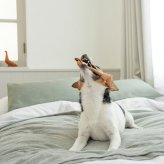 DADWAYPET ダッドウェイペット FAD ファッド レザーボーン 犬用おもちゃ M