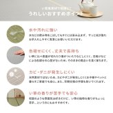 夏ラグ 夏用カーペット 洗える い草風 カーペット 四条 36間 4.5帖 4.5畳 PP ラグ ビニール風 上敷き ござ 畳の保護
