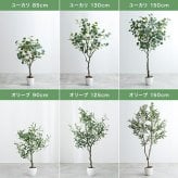 照明 ライト パキラ 観葉植物 人工 フェイクグリーン 室内 リビング オフィス 一人暮らし 緑 インテリア 光触媒 空気清浄 消臭 抗菌 防汚 ホルムアルデヒド分解 おしゃれ 高さ150cm 造花 植木 鉢植え 新築祝い 開店