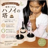 [日本製安心おもちゃ]　数学パズル ハノイの塔10段 (ゼブラバージョン) 日本グッドトイ受賞　[送料無料] [木のおもちゃ 型はめ パズル 日本製 知育玩具 積み木 1歳 2歳 3歳 4歳 5歳 6歳 7歳 8歳 幼児子供 小学生 中学生 誕生日ギフト～出産祝い 男の子 女の子 赤ちゃん おもちゃ 誕生祝い 親子 木育 家族 かたはめ ]
