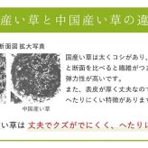 夏ラグ 夏用カーペット ラグ 正方形 夏用 ふっくら い草 シンプル 191×191cm 新生活