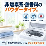 2個セット 非塩素系 洗濯槽クリーナー プロ仕様 750g 無香料 強力発泡 酵素系 黒カビ カビ胞子除去率99.9％ 除菌 消臭 生乾き臭 生乾き 入れるだけ ワカメ 溶かす