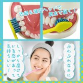 歯ブラシ エビス プログリップ NUMA ヘブン 1本 極細毛 密集植毛 沼るハブラシ 先細ヘッド ぎゅっふぁ でかいヘッド 日本製 Ebisu PROGRIP B-3650M でかヘッド
