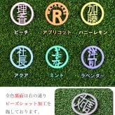 名入れ ゴルフマーカー 【 ステンレス切り文字 名入れ ゴルフマーカー パステル 1個 】 ステンレス ゴルフマーカー ボールマーカー パステルカラー 贈り物 ギフト プレゼント ホールインワン 記念品 ゴルフコンペ 景品 父の日 敬老の日 退職祝 誕生日 ゴルフ マーカー 名前 漢字 英字 ゴルフ用品 ゴルフ場 必需品 還暦 祝い 退職 転職 GHOGolf