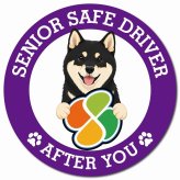カーサイン 高齢者マーク SENIOR SAFE DRIVER 黒柴 マグネット 強力 直径13cm 肉球 日本製 車 ステッカー
