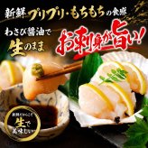 ホタテ・ボタンエビセット（ほたて ぼたん海老）お刺身で食べることも出来きる ぼたんえび 帆立 北海道 海鮮 セット 北海道 グルメ (ギフト)【送料無料※沖縄・離島除く】