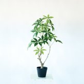 観葉植物 造花 パキラ BROWN 全高約90cm 中型 フェイクグリーン 本物そっくり おしゃれ インテリア 人工観葉植物 アーティフィシャルグリーン オフィス 店舗 ホテル 開店祝い 室内 発財樹 フェイク