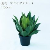 観葉植物 造花 アガベ アテナータ BROWN 全高約50cm 卓上・小型 フェイクグリーン 本物そっくり おしゃれ インテリア 人工観葉植物 アーティフィシャルグリーン オフィス 店舗 ホテル 開店祝い 室内 ミニ 多肉植物 フェイク