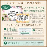 敬老の日 ギフト 夏ギフト ゼリー アイス シャーベット  ギフト アイス シャーベット 【夕張メロンと国産果汁の凍らせて食べる.アイスシャーベット.】 10個セット（5種×各2個） スイーツ メロン フルーツ 果物 ソルベ アイスギフト 詰め合わせ 送料無料 常温保存 お取り寄せスイーツ 夏 母の日 父の日 御中元 敬老の日 御歳暮 誕生日 内祝い お返し 【ja】 【ja1】