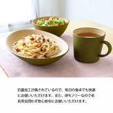 earth color バルセット40　OL
