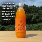 「柑橘の王様」せとかジュース 200ml 濃厚な味わい ギフト箱 愛媛県産【贅沢な果汁100％】送料無料