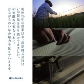 収納家具 ラック 【9枚組】 い草畳 82×82×2.5cm/枚 抗カビ 消臭 縁なし 滑り止め付き フローリングに置くだけ 取り外しOK 吸音 断熱 吸湿 ストライプ柄 和モダン 赤ちゃん リビング おしゃれ ブ ブラウン グリーン ナチュラル