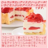 クリスマスいちごアイスケーキ【4～7号】 ［クリスマスケーキ クリスマスデコレーション クリスマスいちごケーキ］
