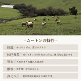 ムートン 敷きパッド ベッドシーツ オーストラリア産 シングル セミダブル ダブル ベッド シーツ 敷パッド ファーパッド ムートン 毛皮 敷き布団 さらさら おしゃれ 敷物 マット 100×200 120×200 140×200 布団 ふとん 高級 高品質 高密度 短毛 ギフト プレゼント 送料無料