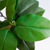 観葉植物 造花 フィカス エラスティカ BROWN 全高約195cm 大型 株立ち フェイクグリーン 高級 本物そっくり リアル おしゃれ インテリア 人工観葉植物 アーティフィシャルグリーン オフィス 店舗 ホテル 開店祝い 室内 リビング 玄関 風水 ゴムの木 インドゴムノキ
