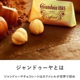 Caffarel カファレル テディベアのクリスマスブック缶 NR-05042 カファレル チョコレート 缶クリスマス 2026/おしゃれ/かわいい/ギフト プレゼント/イタリア/贅沢チョコ/限定/詰め合わせ/ご褒美スイーツ/