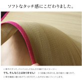 い草 シーツ い草シーツ ベビー キッズ ジュニア 寝ござ 『さわやか ネゴザ』 約70×120cm お子様にも安心 国産い草シーツ さわやかネゴザ 抗菌 防臭 綿 ラグ マット インテリア 敷物 綿100% やわらか 肌触り 耐久性 吸湿 弾力 ブルー 入学祝い