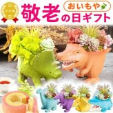 【まだ間に合う】 敬老の日 すぐ贈れるギフト 即日発送 ギフト プレゼント 花 プリザーブドフラワー 動物 恐竜 ティラノサウルス グッズ 置物 かわいい スイーツ お菓子 洋菓子 花とお菓子 60代 70代 80代 90代 おじいちゃん おばあちゃん 孫 孫から 送料無料 おいもや