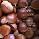 焼き栗 和栗 丹波栗【送料無料】スイーツ 和菓子 お菓子  丹波焼き栗 230g 【丹波の幸】食べ物 くり 栗スイーツ 甘栗 国産 栗 内祝い お返し プチギフト お取り寄せ ご当地 高級 グルメ 勝栗 搗栗