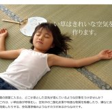 夏ラグ 夏用カーペット 純国産 い草 上敷き カーペット 糸引織 『湯沢』 江戸間3畳(約176×261cm）