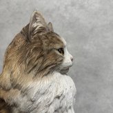 WooBia ウービア 猫 置物 お座りノルウェージャンフォレストキャット マスターズエディション 高さ29.5cm リアル 長毛 ネコ アニマルオブジェ 玄関 リビング インテリア 猫好き 新築祝い 開店祝い 退職祝い プレゼント ギフト