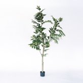 観葉植物 造花 コーヒーの木 BROWN 全高約205cm 大型 フェイクグリーン 高級 本物そっくり リアル おしゃれ インテリア 人工観葉植物 アーティフィシャルグリーン カフェ オフィス 店舗 ホテル 開店祝い 室内 リビング 玄関 風水 コーヒーノキ
